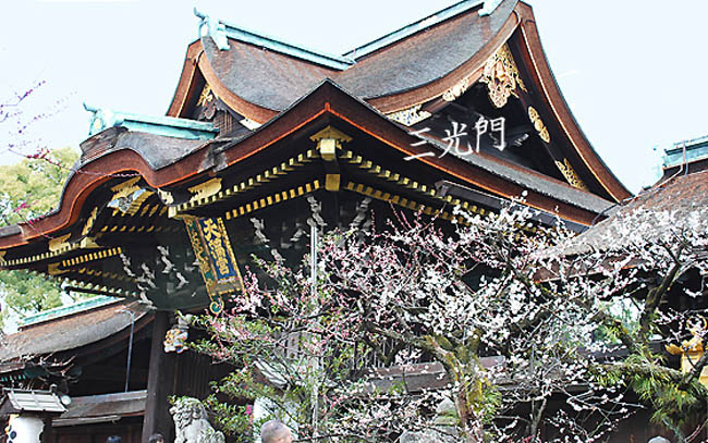 京都の神社北野天満宮3