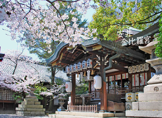 京都の神社安井金比羅宮2